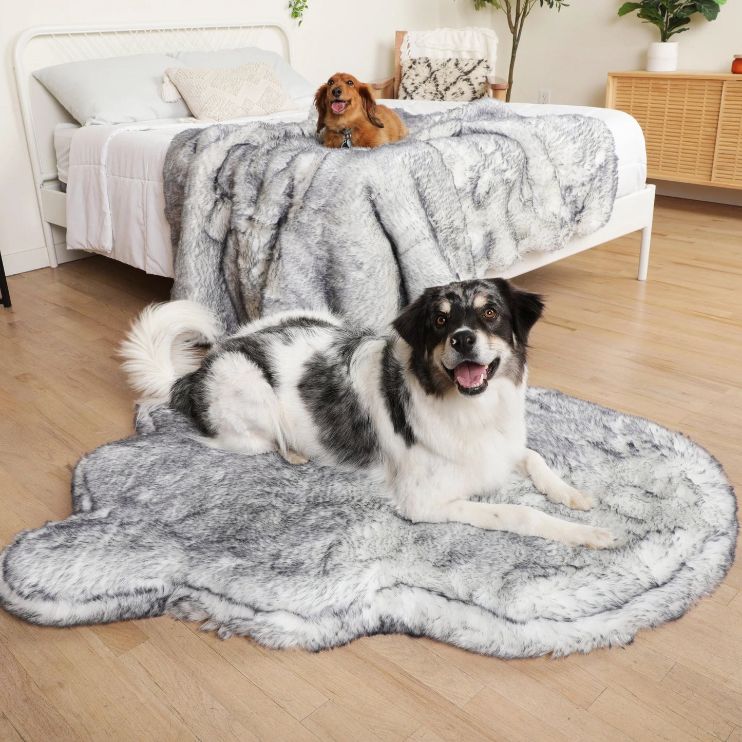 PupRug™ Luxe Orthopedic Bed + Matching Waterproof Blanket Bundle - Ultra Plush Arctic Fox