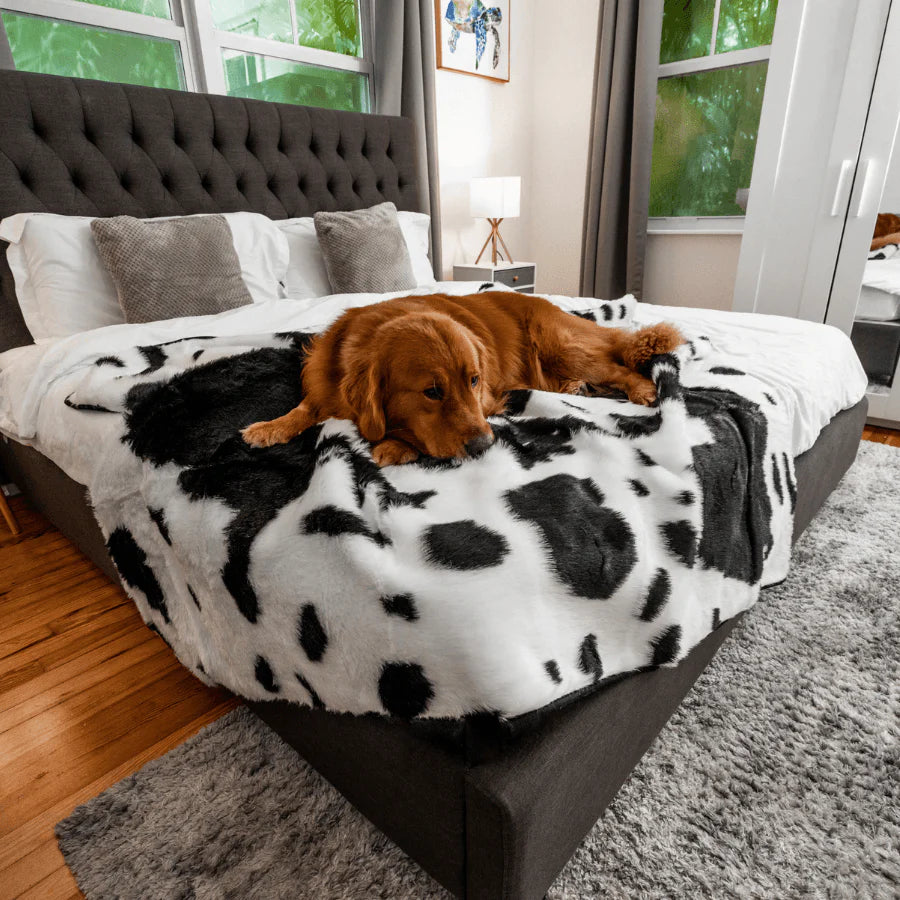 Paw.com x BarkBox PupProtector™ Waterproof Throw Blanket - Black Faux Cowhide