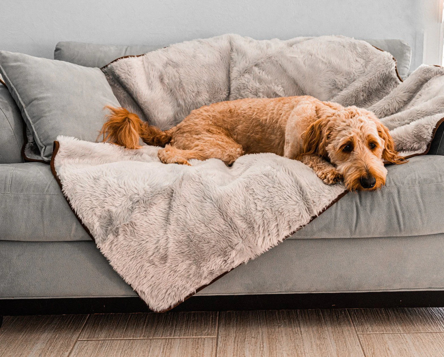 Paw.com x BarkBox PupProtector™ Short Fur Waterproof Throw Blanket - Grey