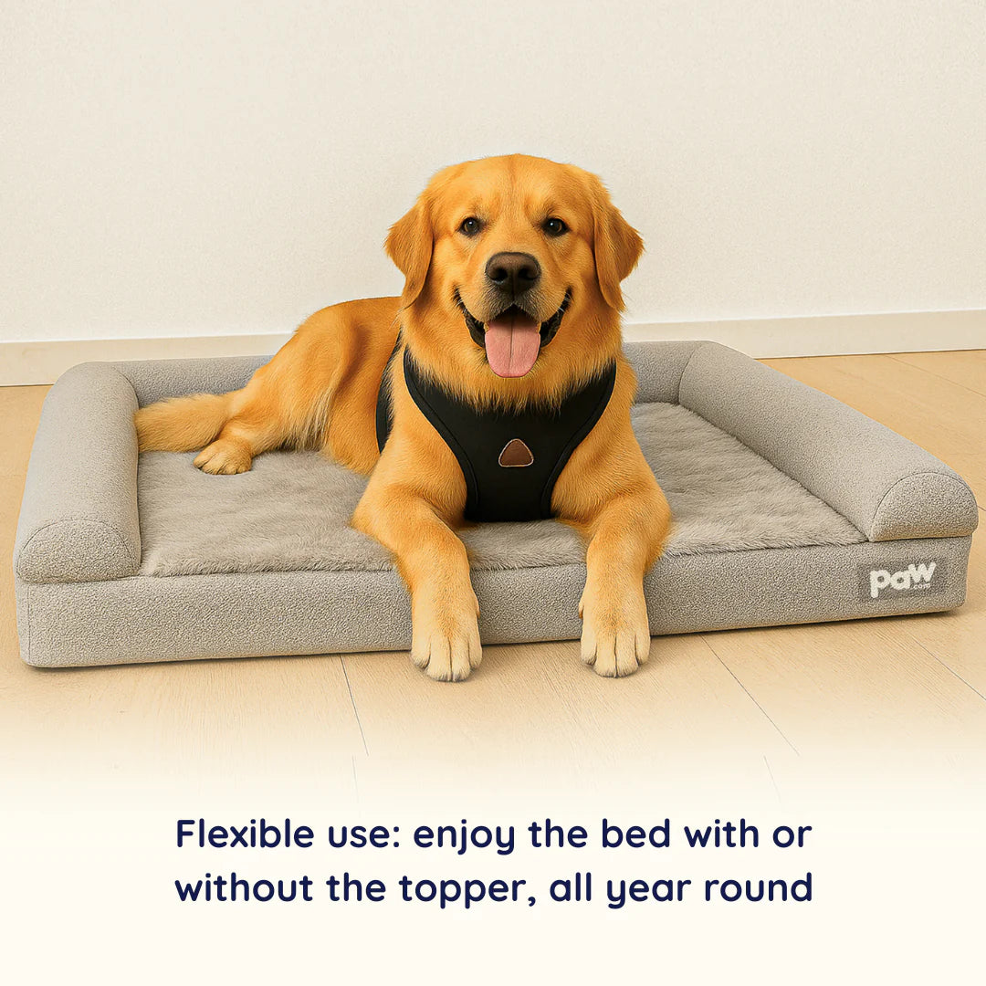 PupLuxe™ 3-Bolster Dog Bed - Grey Bouclé