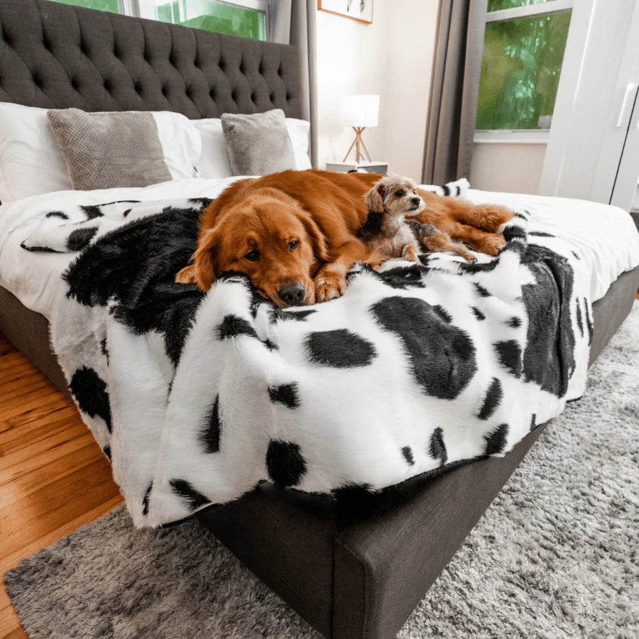 Paw.com x BarkBox PupProtector™ Waterproof Throw Blanket - Black Faux Cowhide
