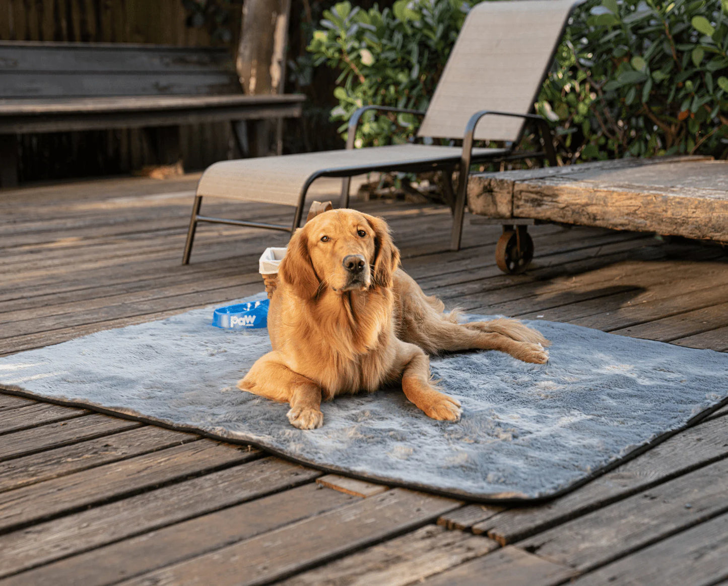 PupProtector™ Summer Short Fur Waterproof Throw Blanket - Charcoal Grey