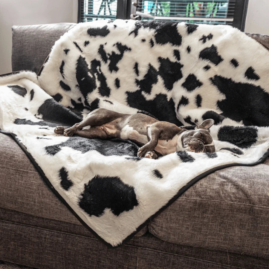 Paw.com x BarkBox PupProtector™ Waterproof Throw Blanket - Black Faux Cowhide
