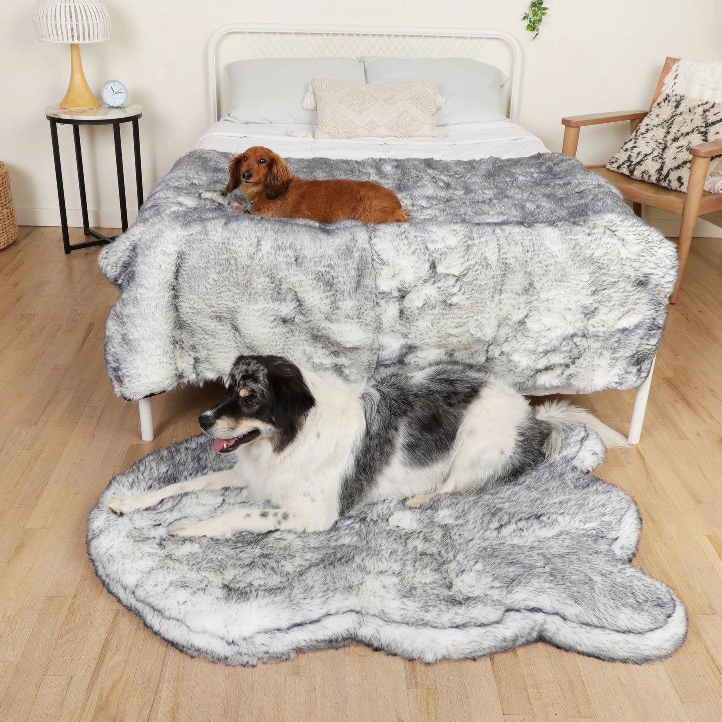PupRug™ Luxe Orthopedic Bed + Matching Waterproof Blanket Bundle - Ultra Plush Arctic Fox