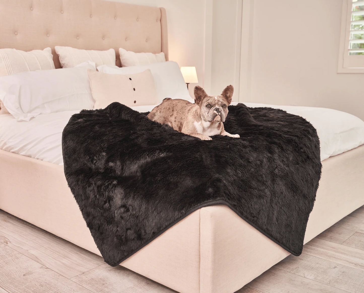 Paw.com x BarkBox PupProtector™ Short Fur Waterproof Throw Blanket - Midnight Black