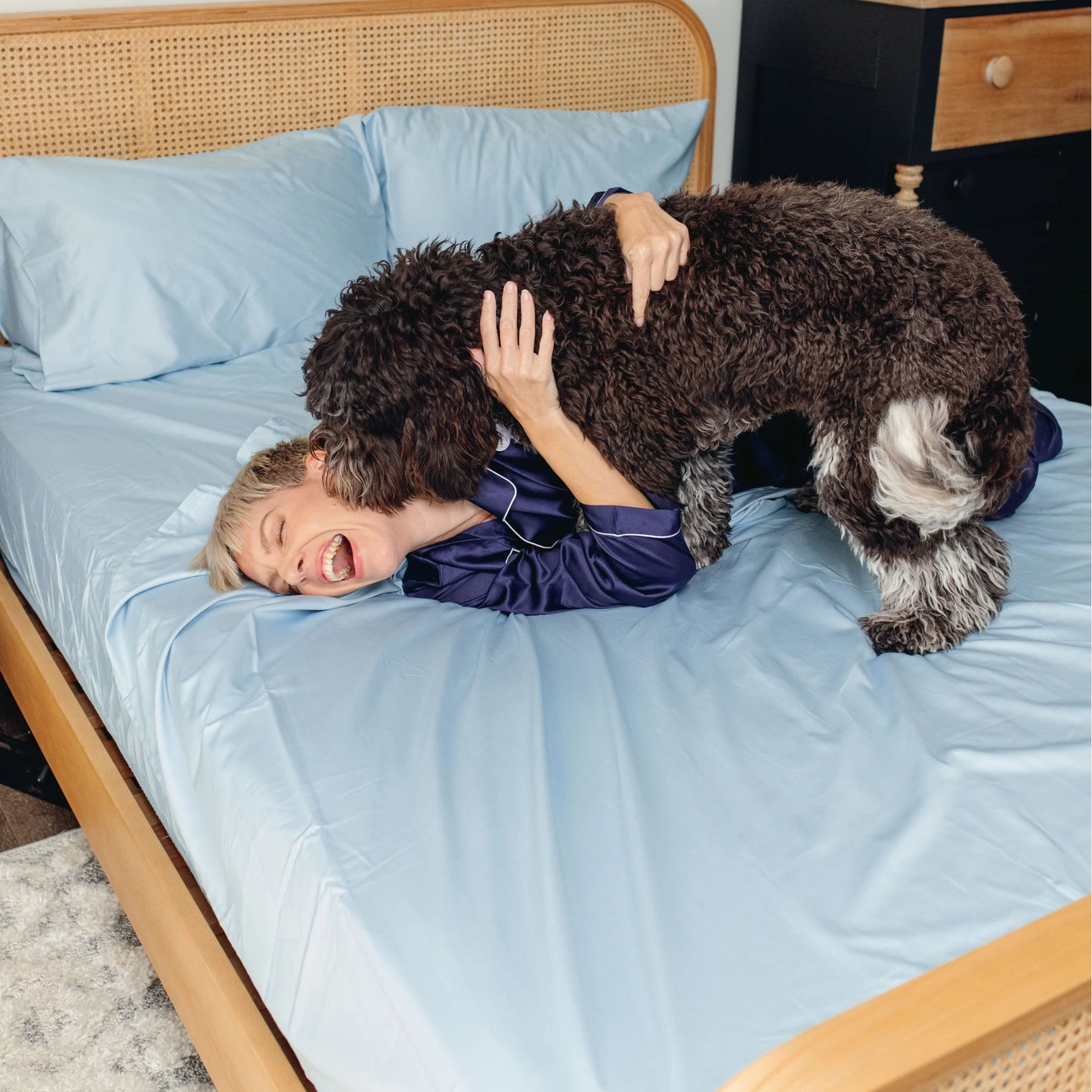 PupSheets™ Hair Resistant, Antimicrobial & Cooling Sheet Set - Sky Blue