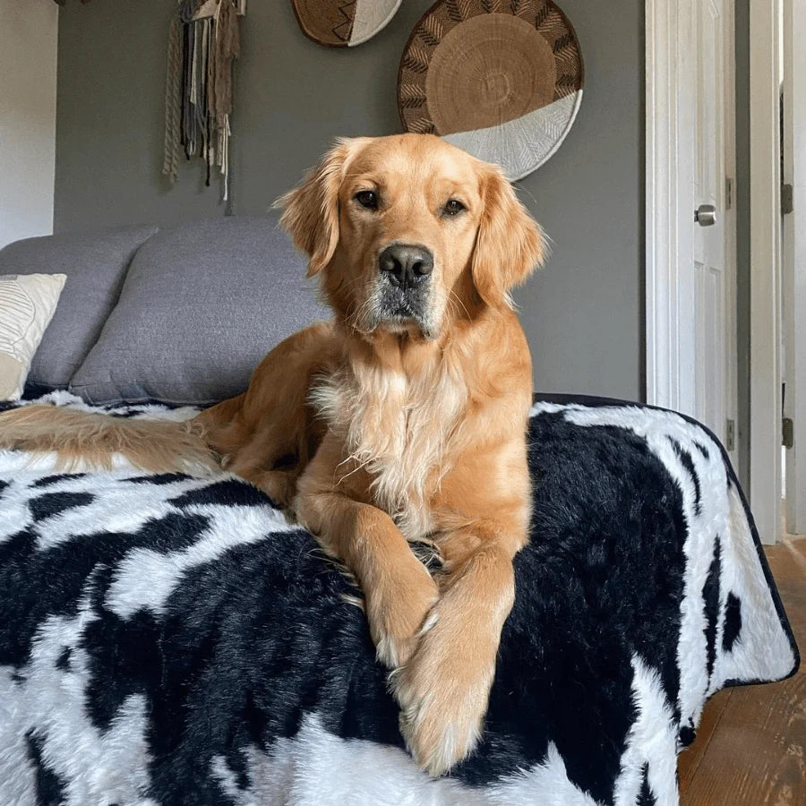 Paw.com x BarkBox PupProtector™ Waterproof Throw Blanket - Black Faux Cowhide