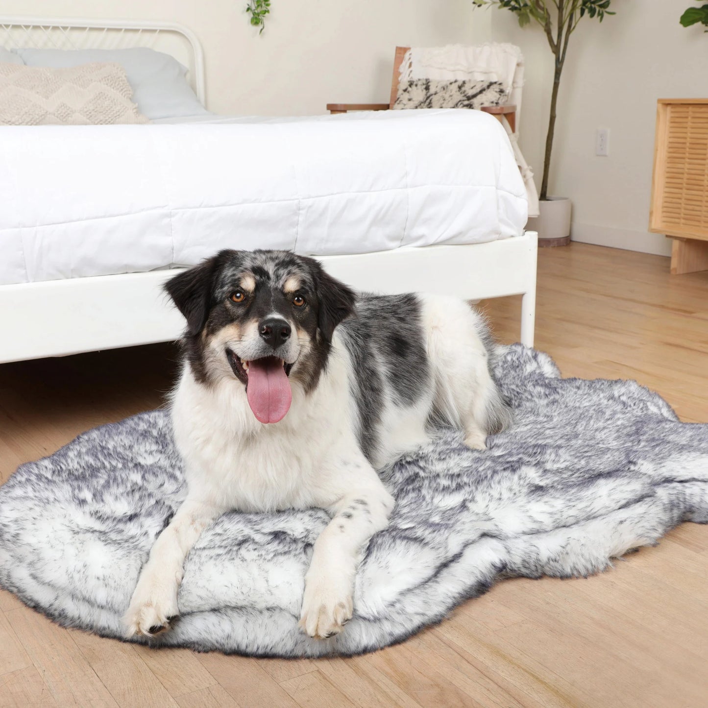 PupRug™ Luxe Orthopedic Bed + Matching Waterproof Blanket Bundle - Ultra Plush Arctic Fox