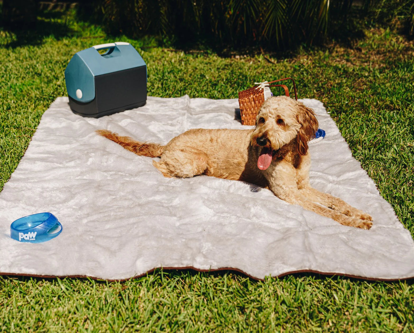 Paw.com x BarkBox PupProtector™ Short Fur Waterproof Throw Blanket - Grey