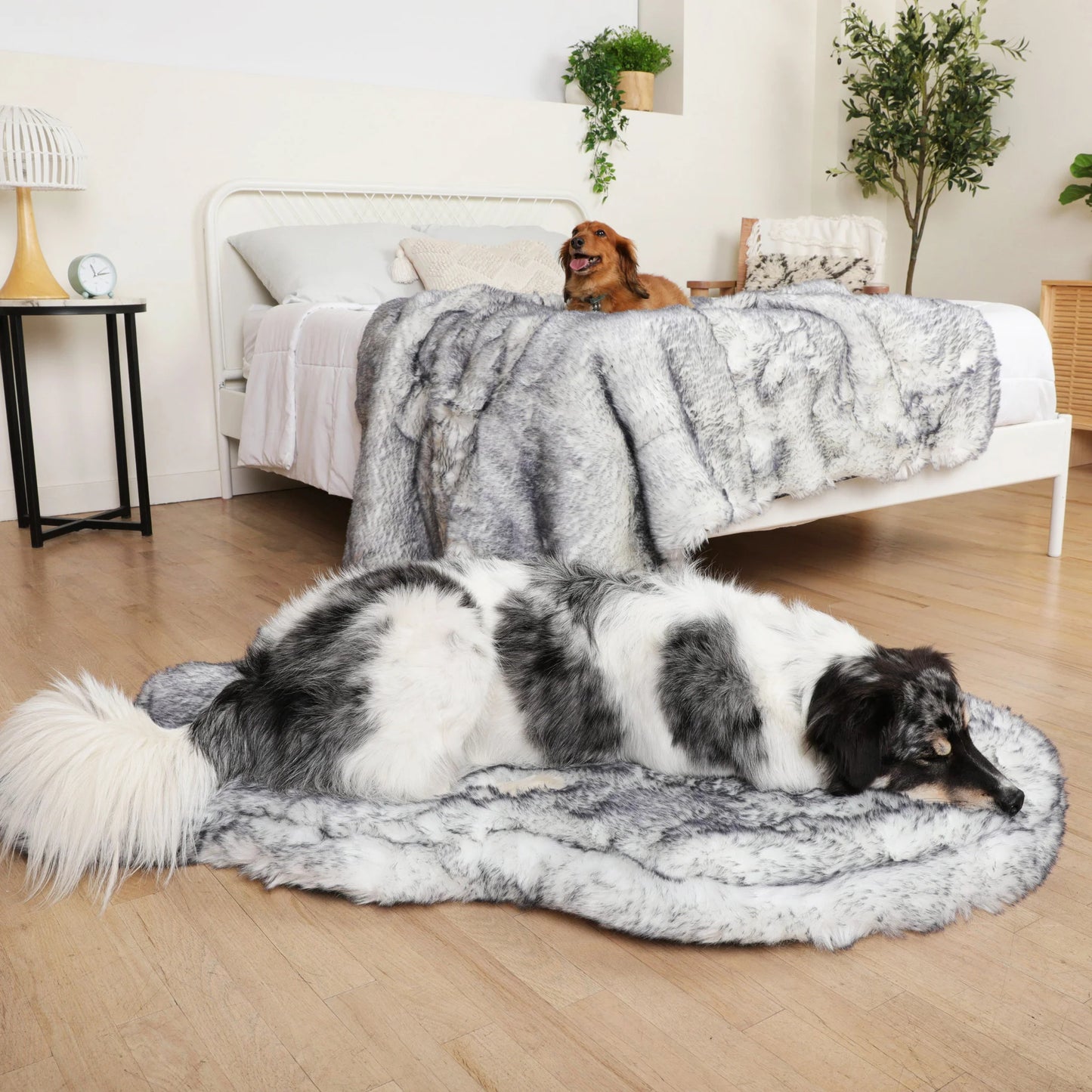 PupRug™ Luxe Orthopedic Bed + Matching Waterproof Blanket Bundle - Ultra Plush Arctic Fox