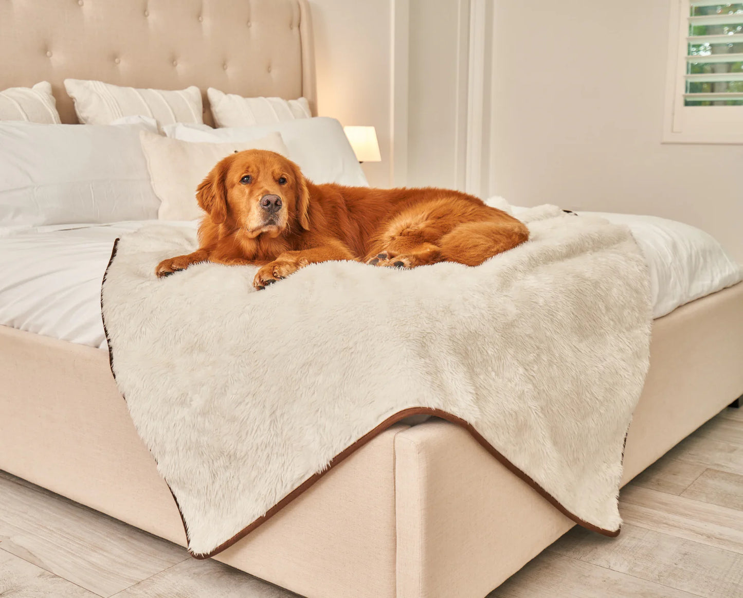 Paw.com x BarkBox PupProtector™ Short Fur Waterproof Throw Blanket - Polar White
