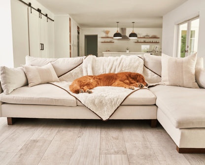 Paw.com x BarkBox PupProtector™ Short Fur Waterproof Throw Blanket - Polar White