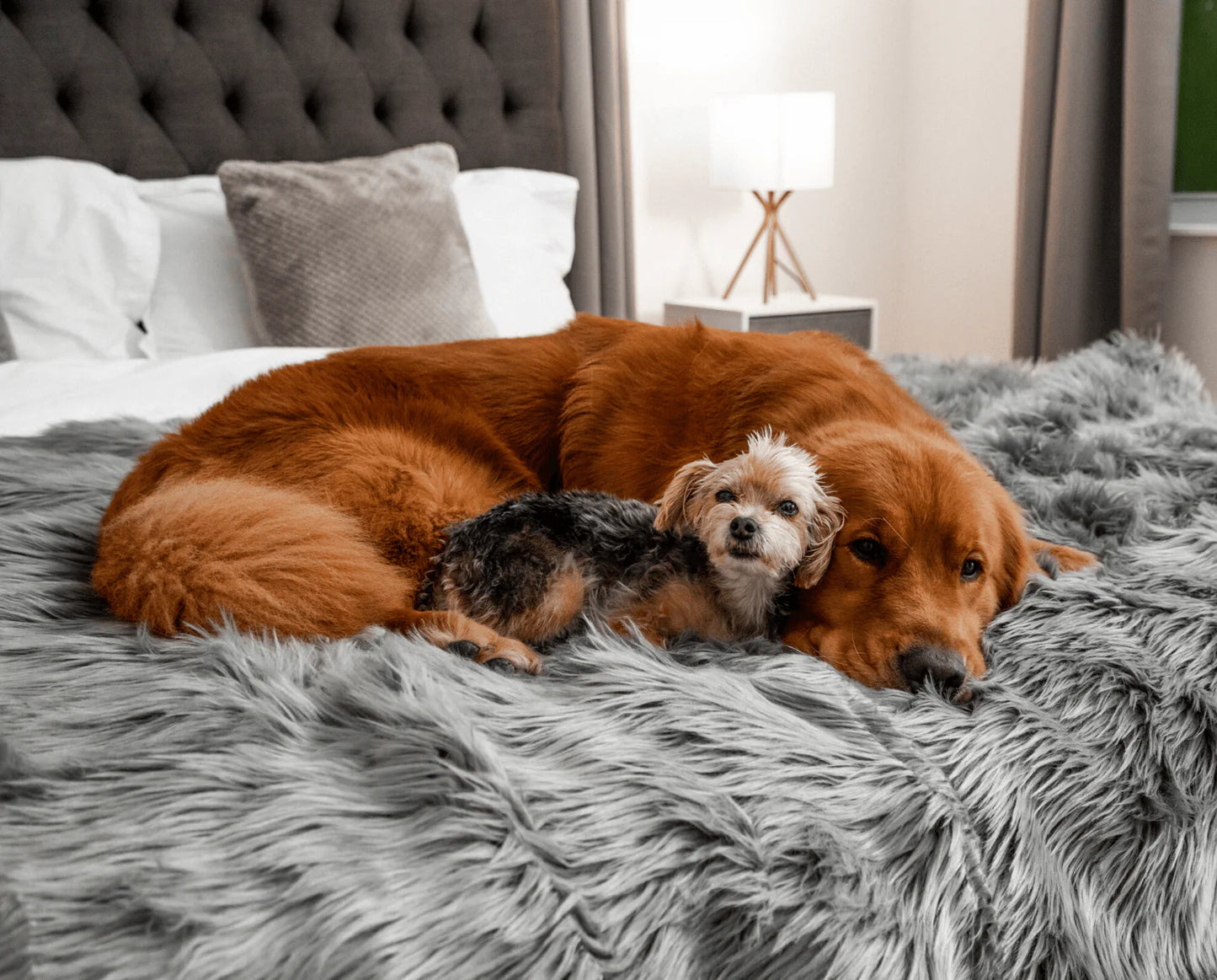 PupRug™ Orthopedic Bed + Matching Waterproof Blanket Bundle - Charcoal Grey