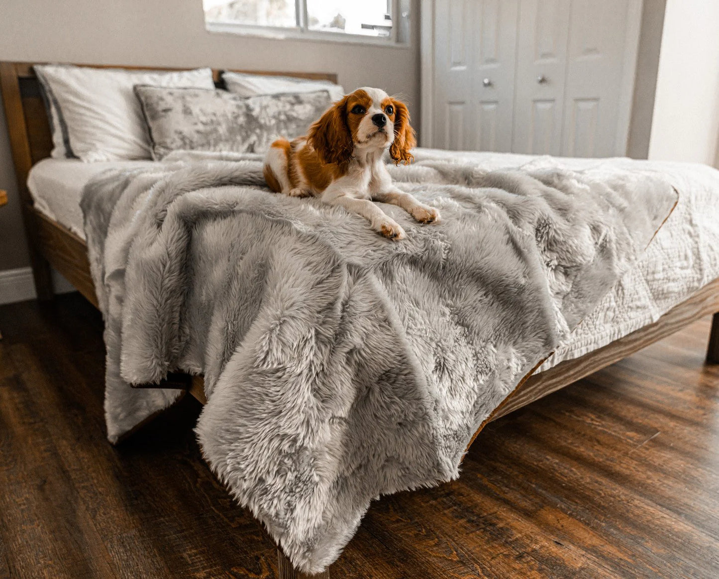 Paw.com x BarkBox PupProtector™ Short Fur Waterproof Throw Blanket - Grey