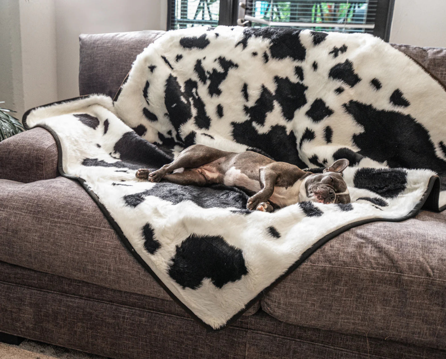 PupRug™ Memory Foam Bed + Matching Waterproof Blanket Bundle - Black Faux Cowhide