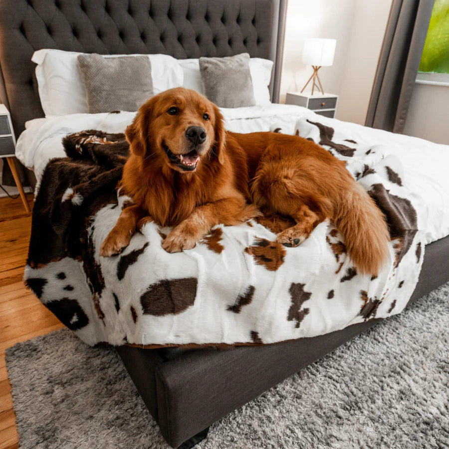 Paw.com x BarkBox PupProtector™ Waterproof Throw Blanket - Brown Faux Cowhide