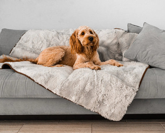 Paw.com x BarkBox PupProtector™ Short Fur Waterproof Throw Blanket - Grey