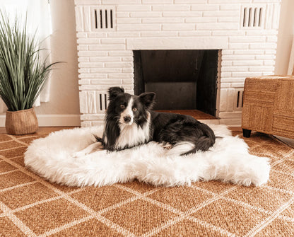 PupRug™ Orthopedic Bed + Matching Waterproof Blanket Bundle - Polar White