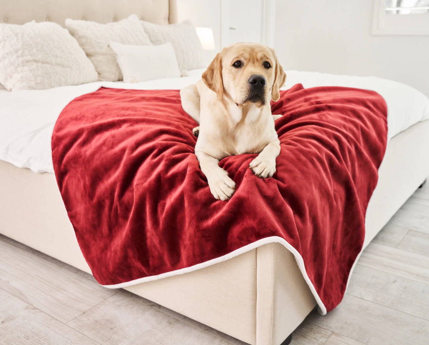 PupProtector™ Waterproof Throw Blanket - Red Velvet