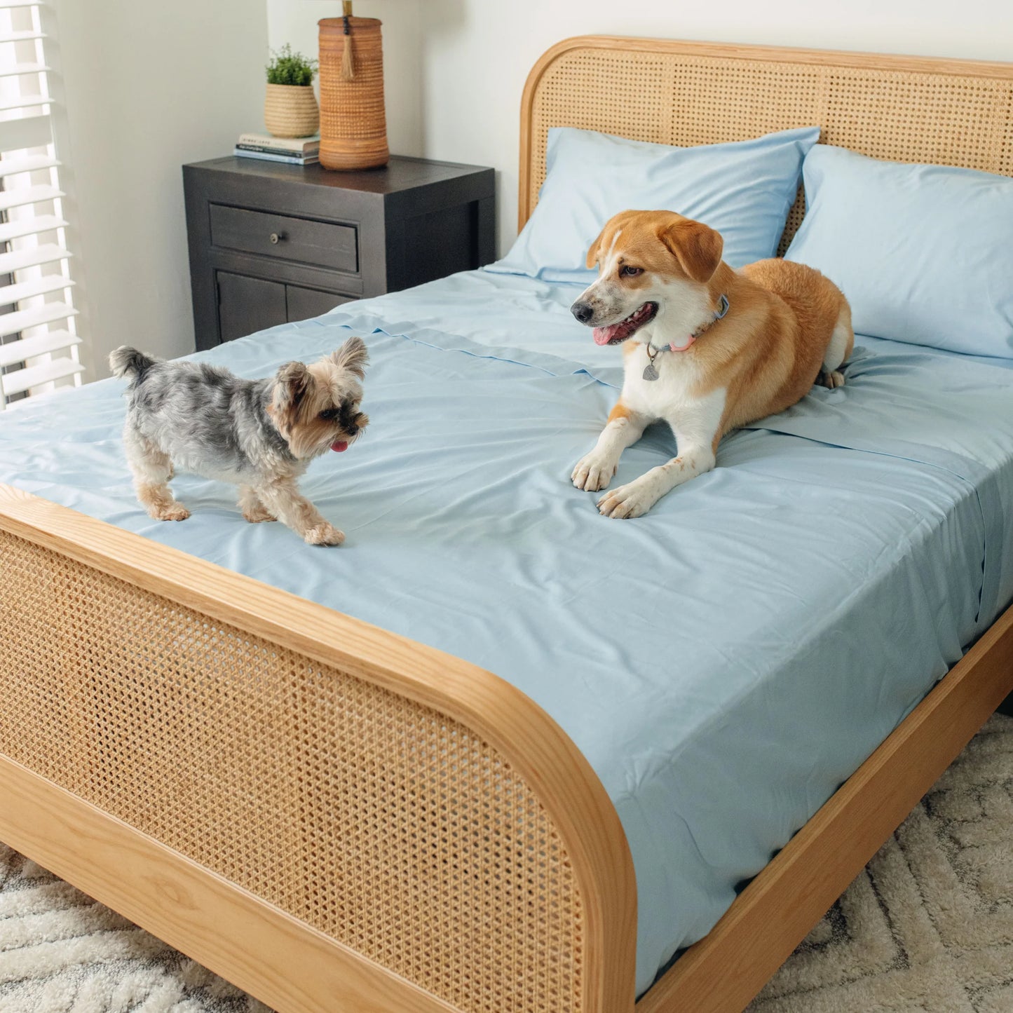 PupSheets™ Hair Resistant, Antimicrobial & Cooling Sheet Set - Sky Blue