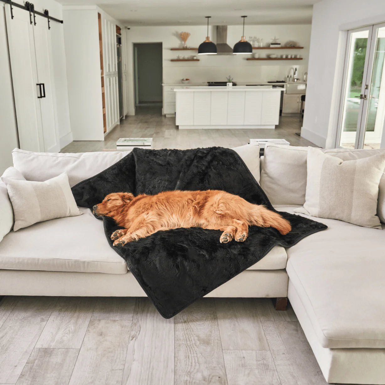 Paw.com x BarkBox PupProtector™ Short Fur Waterproof Throw Blanket - Midnight Black