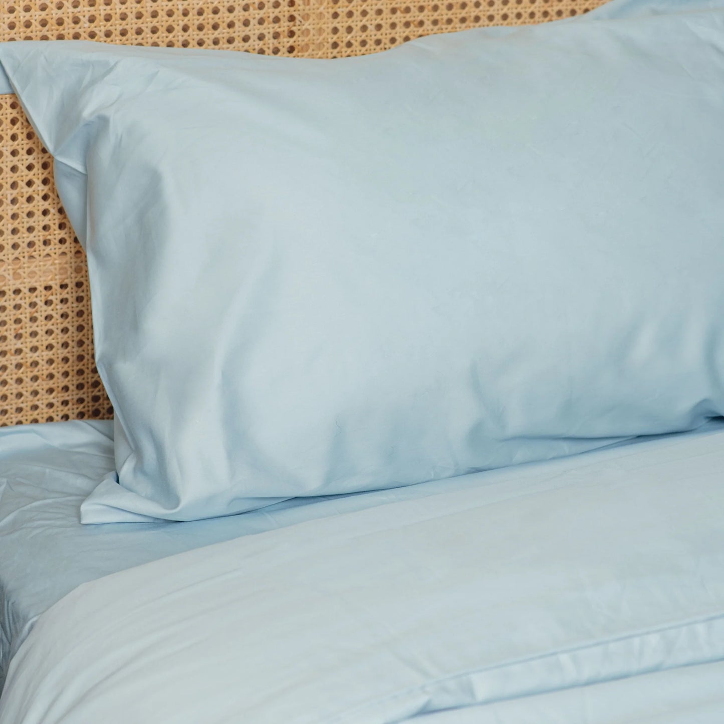PupSheets™ Hair Resistant, Antimicrobial & Cooling Sheet Set - Sky Blue