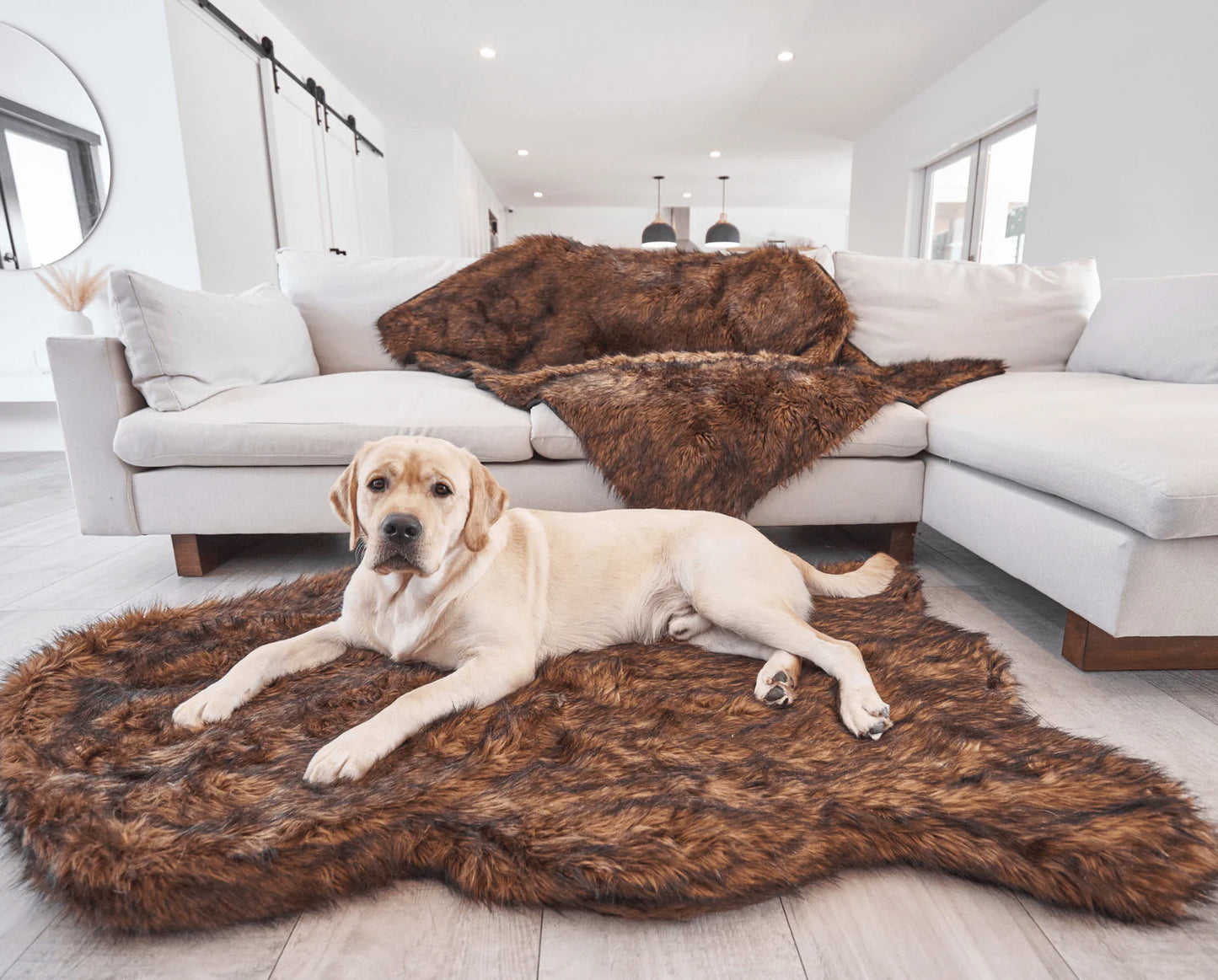 PupRug™ Orthopedic Bed + Matching Waterproof Blanket Bundle - Brown