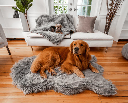 PupRug™ Orthopedic Bed + Matching Waterproof Blanket Bundle - Charcoal Grey