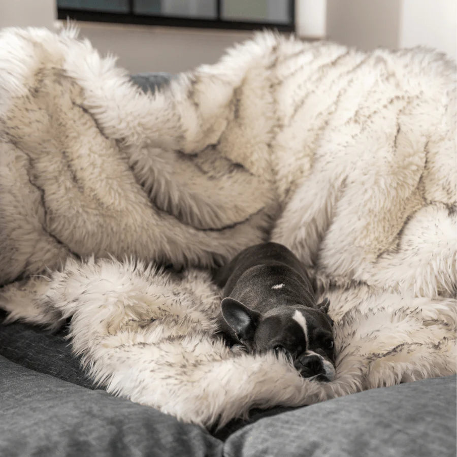 Paw.com x BarkBox PupProtector™ Waterproof Throw Blanket - White with Brown Accents