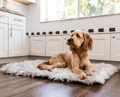 PupRug by Paw.com™ Portable Orthopedic Dog Bed - Grey
