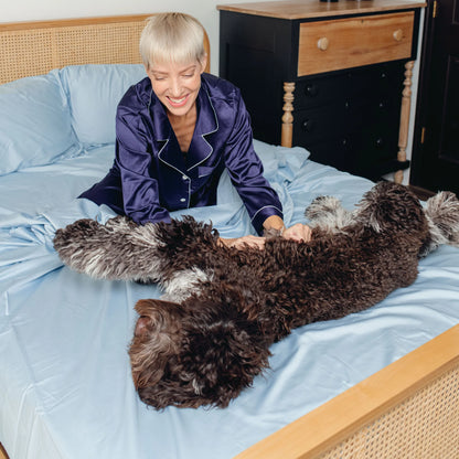 PupSheets™ Hair Resistant, Antimicrobial & Cooling Sheet Set - Sky Blue