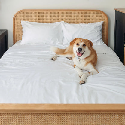 PupSheets™ Hair Resistant, Antimicrobial & Cooling Duvet Cover and Sham Set - White