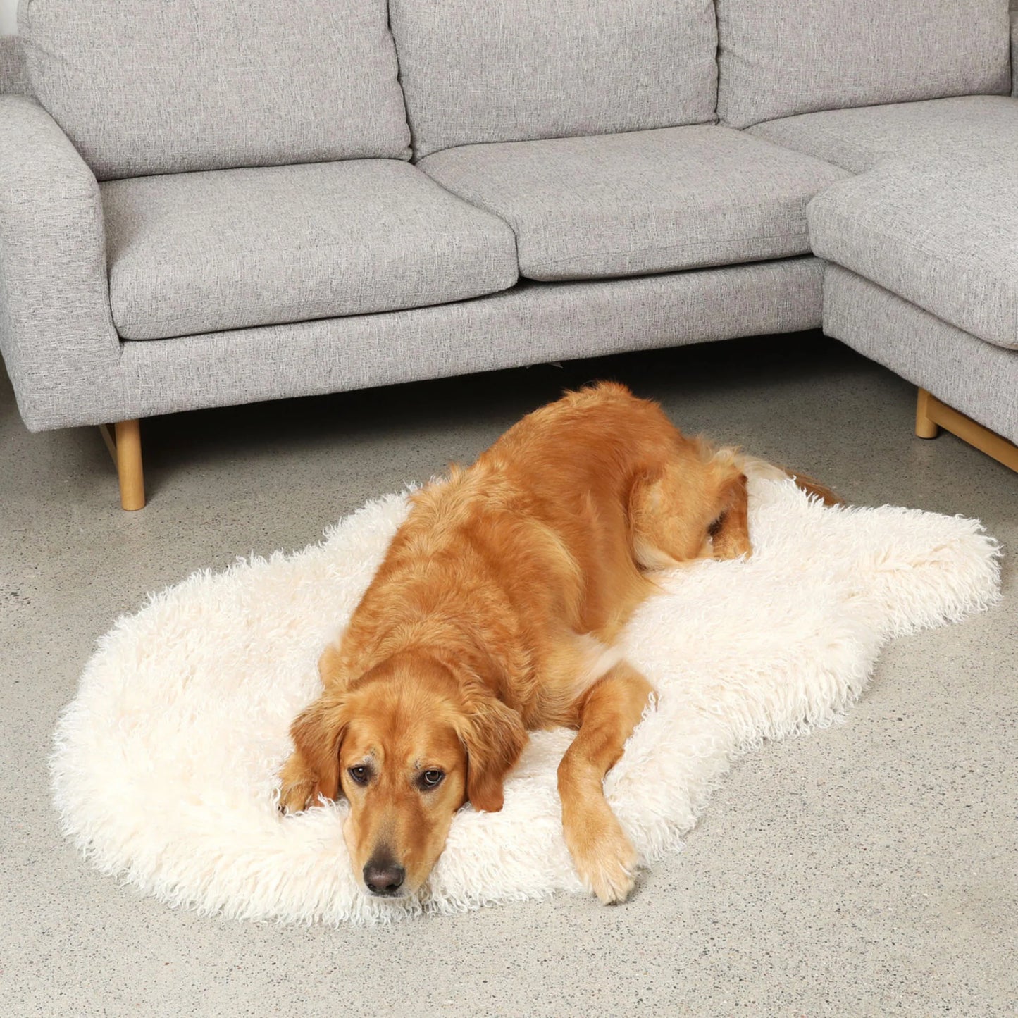 PupRug™ Luxe Faux Fur Ivory Plush Sheep Orthopedic Dog Bed + FREE Red & Black Plaid Bed Cover