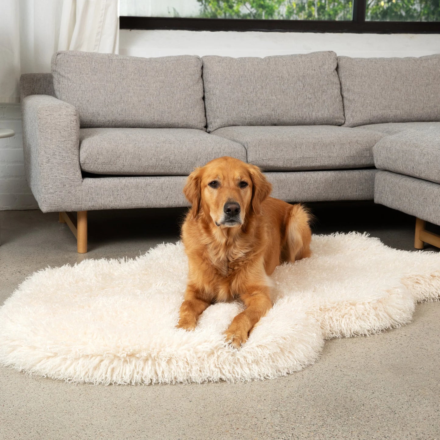 PupRug™ Luxe Faux Fur Ivory Plush Sheep Orthopedic Dog Bed + FREE Red & Black Plaid Bed Cover