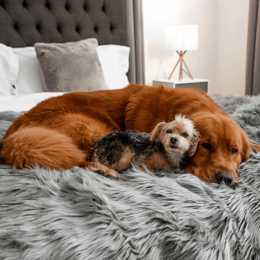 Paw.com x BarkBox PupProtector™ Waterproof Throw Blanket - Charcoal Grey
