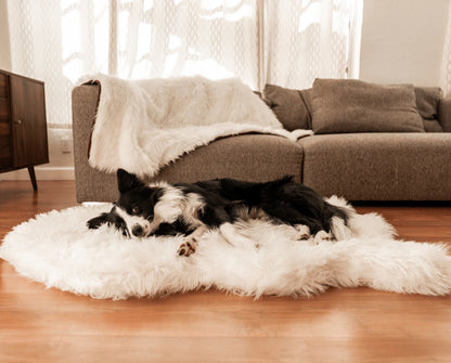 PupRug™ Orthopedic Bed + Matching Waterproof Blanket Bundle - Polar White