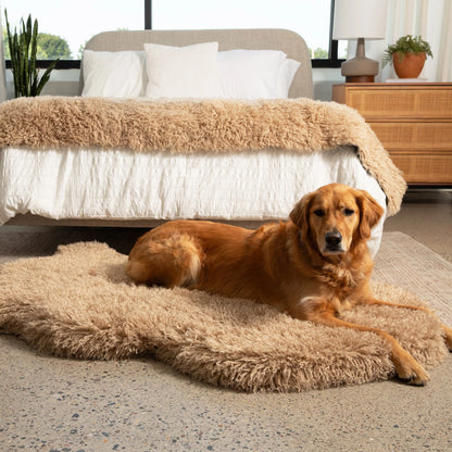 PupRug™ Luxe Orthopedic Bed + Matching Bed Runner Bundle - Plush Sheep Tan