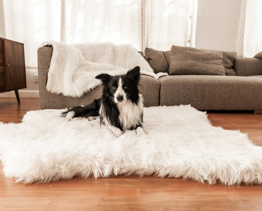 PupRug™ Memory Foam Bed + Matching Waterproof Blanket Bundle - Polar Bear Faux Hide