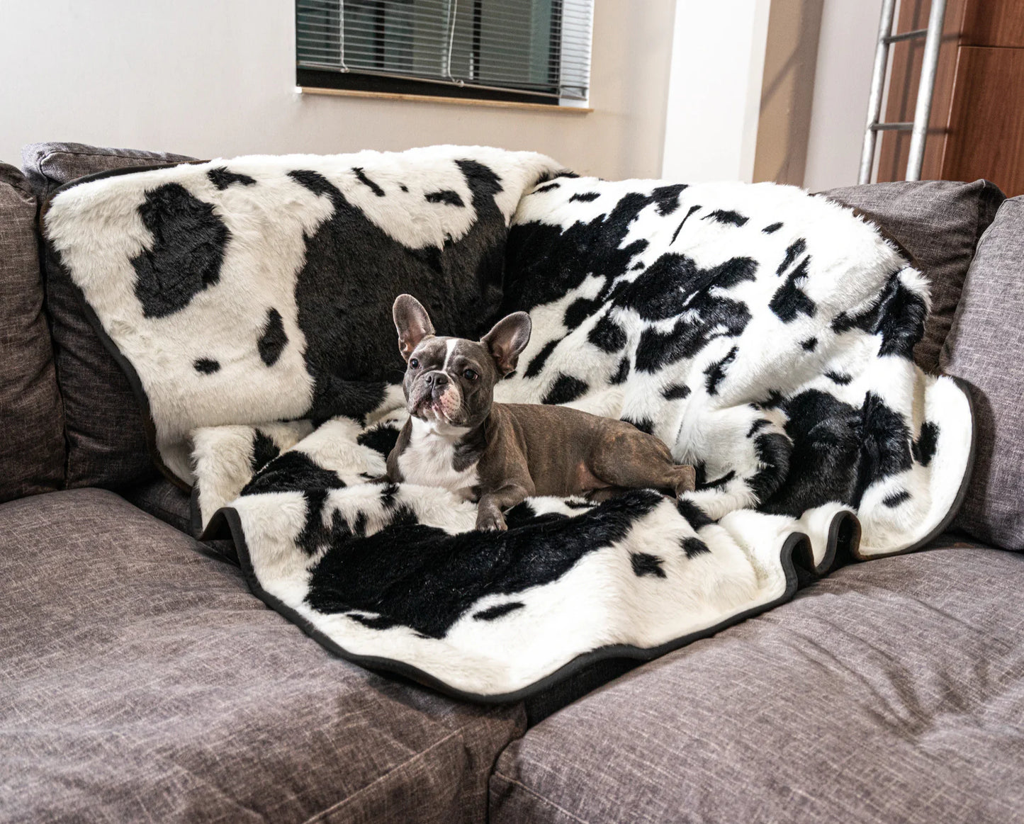 PupRug™ Memory Foam Bed + Matching Waterproof Blanket Bundle - Black Faux Cowhide