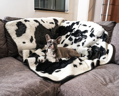 PupRug™ Memory Foam Bed + Matching Waterproof Blanket Bundle - Black Faux Cowhide