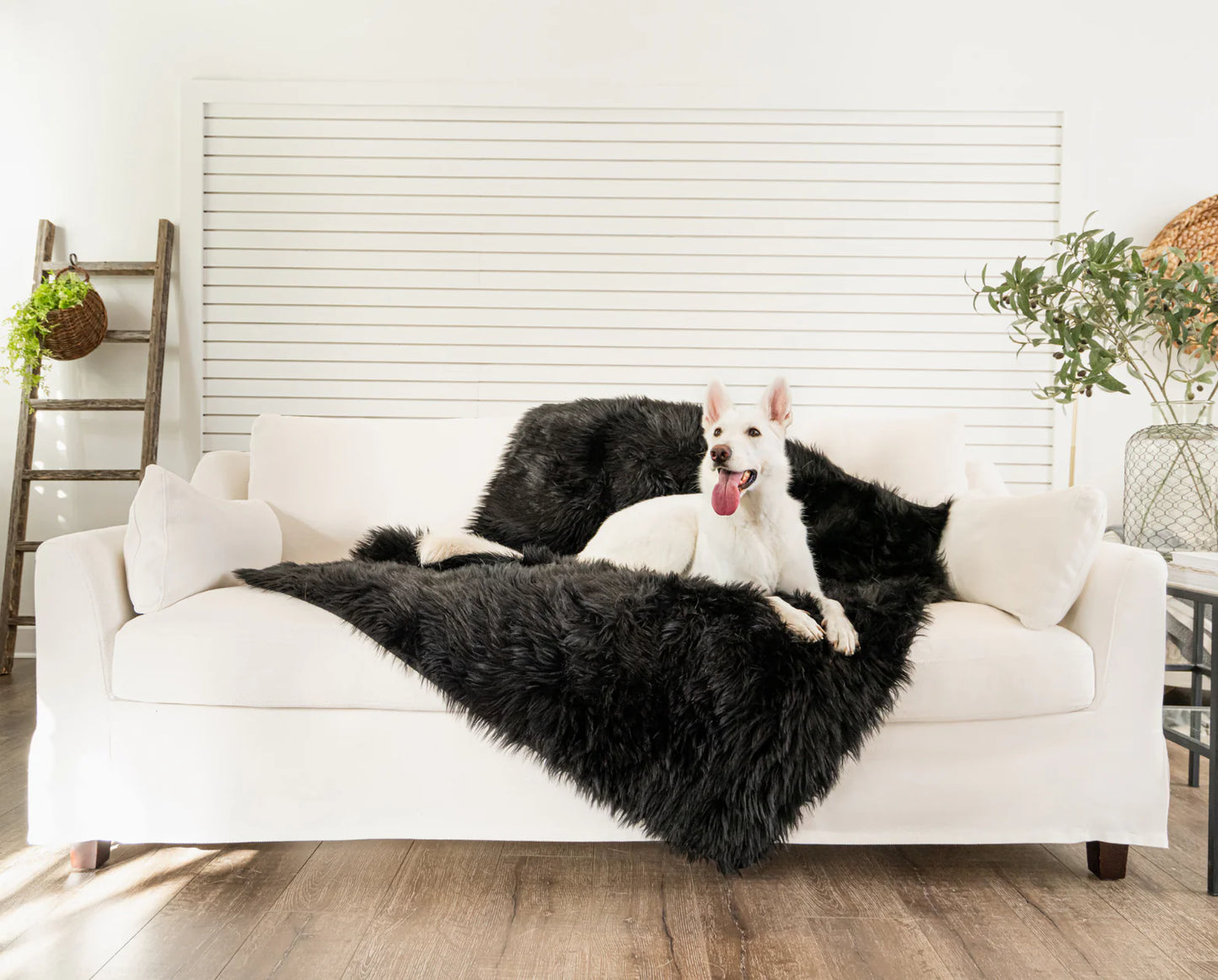 PupRug™ Bundle - Orthopedic Bed Curve, Midnight Black + Matching Waterproof Blanket