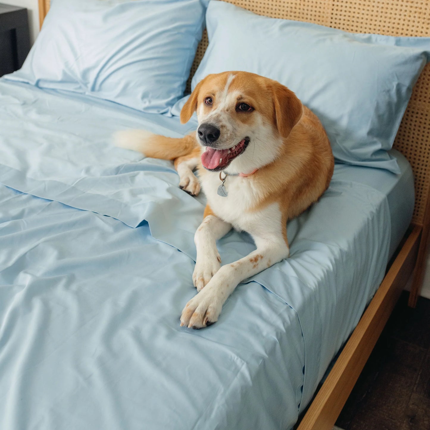 PupSheets™ Hair Resistant, Antimicrobial & Cooling Sheet Set - Sky Blue