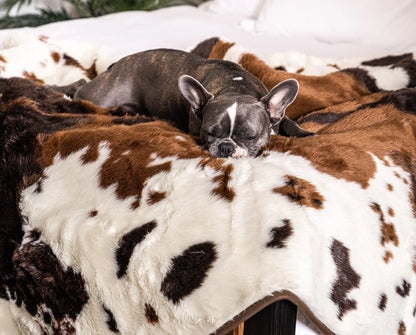 PupRug™ Junior Memory Foam Bed + Matching Waterproof Blanket Bundle - Brown Faux Cowhide