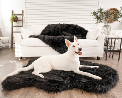 PupRug™ Bundle - Orthopedic Bed Curve, Midnight Black + Matching Waterproof Blanket