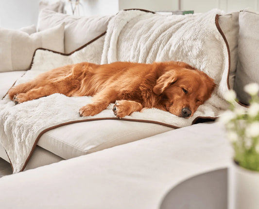 Paw.com x BarkBox PupProtector™ Short Fur Waterproof Throw Blanket - Polar White