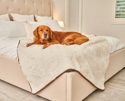 Paw.com x BarkBox PupProtector™ Short Fur Waterproof Throw Blanket - Polar White